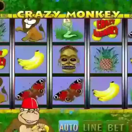Automat online Crazy Monkey