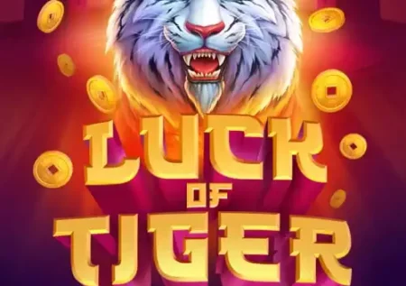 Luck of Tiger